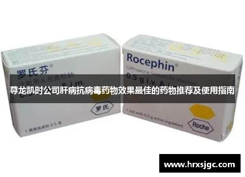 尊龙凯时公司肝病抗病毒药物效果最佳的药物推荐及使用指南